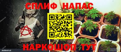 крисы Севастополь
