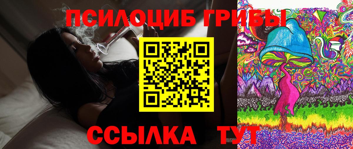 наркота  Псилоцибиновые грибы мицелий  Сальск  Вход с VPN  Псилоцибиновые грибы мицелий 