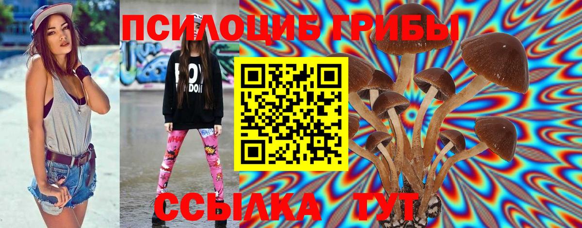 Галлюциногенные грибы прущие грибы Сальск